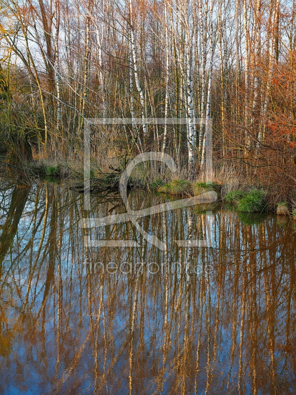 frei wählbarer Bildausschnitt für Ihr Bild auf Papier