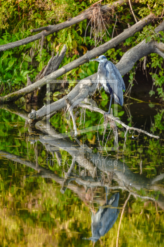 frei wählbarer Bildausschnitt für Ihr Bild auf Papier
