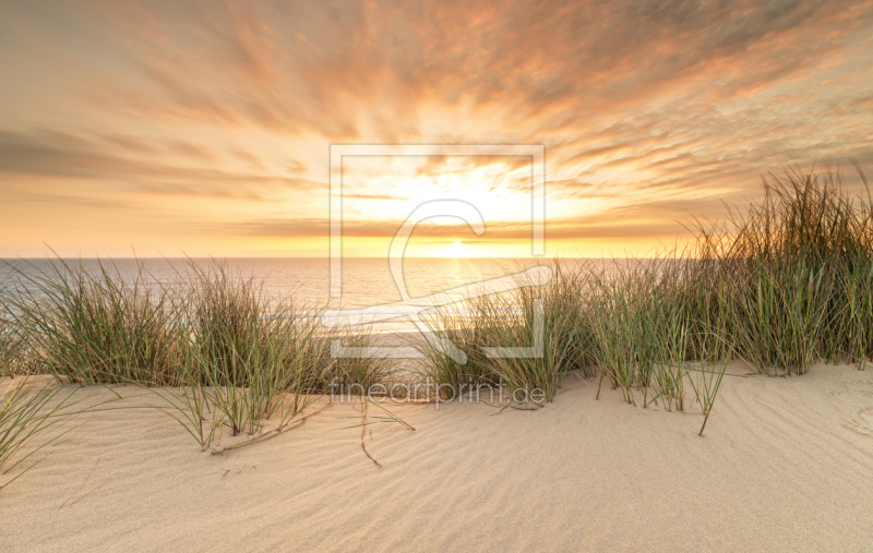 frei wählbarer Bildausschnitt für Ihr Bild auf Papier