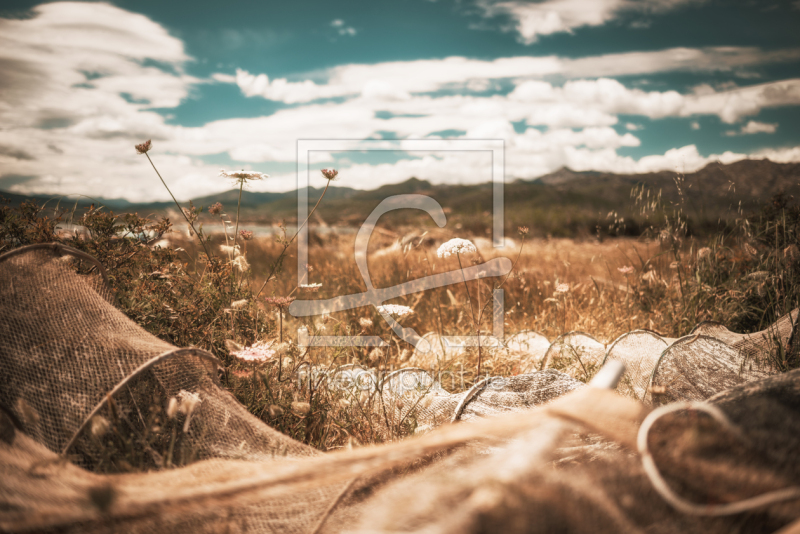 frei wählbarer Bildausschnitt für Ihr Bild auf Papier