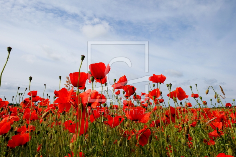 frei wählbarer Bildausschnitt für Ihr Bild auf Papier