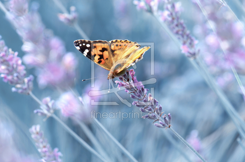 frei wählbarer Bildausschnitt für Ihr Bild auf Papier