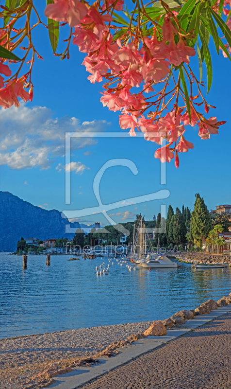 frei wählbarer Bildausschnitt für Ihr Bild auf Papier