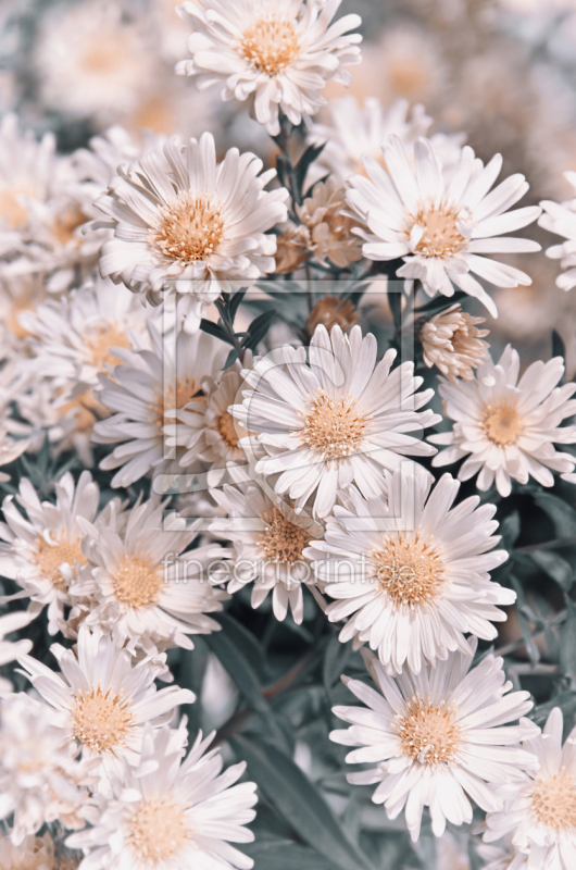 frei wählbarer Bildausschnitt für Ihr Bild auf Papier