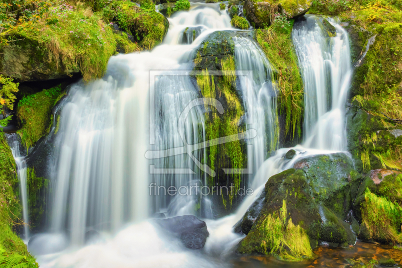 frei wählbarer Bildausschnitt für Ihr Bild auf Papier