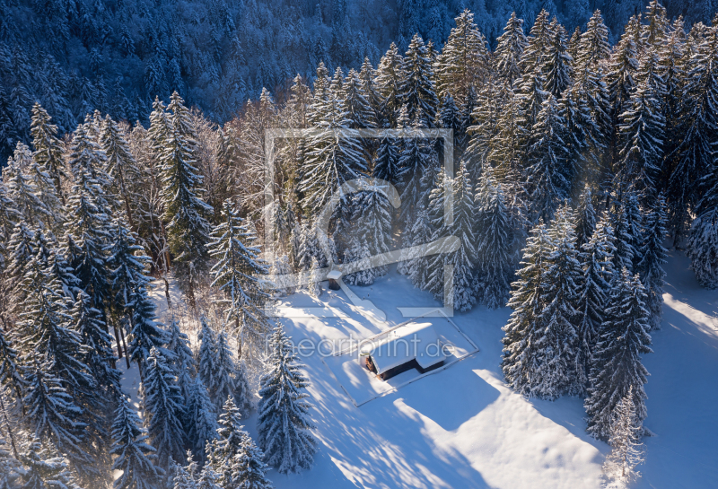 frei wählbarer Bildausschnitt für Ihr Bild auf Papier