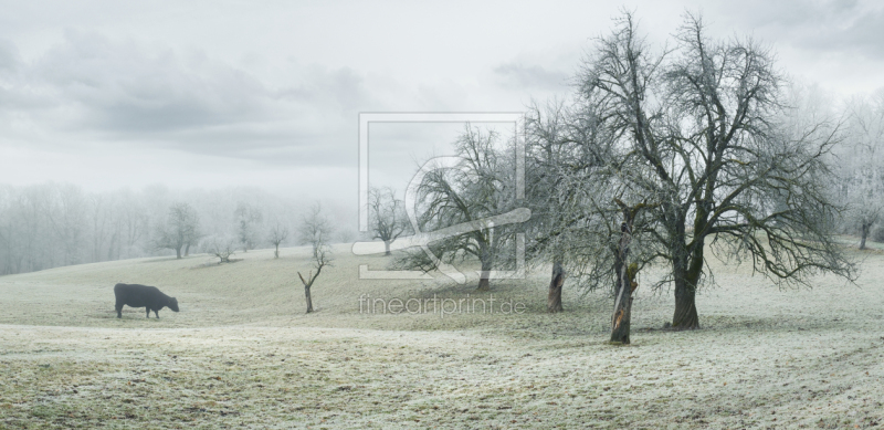 frei wählbarer Bildausschnitt für Ihr Bild auf Papier