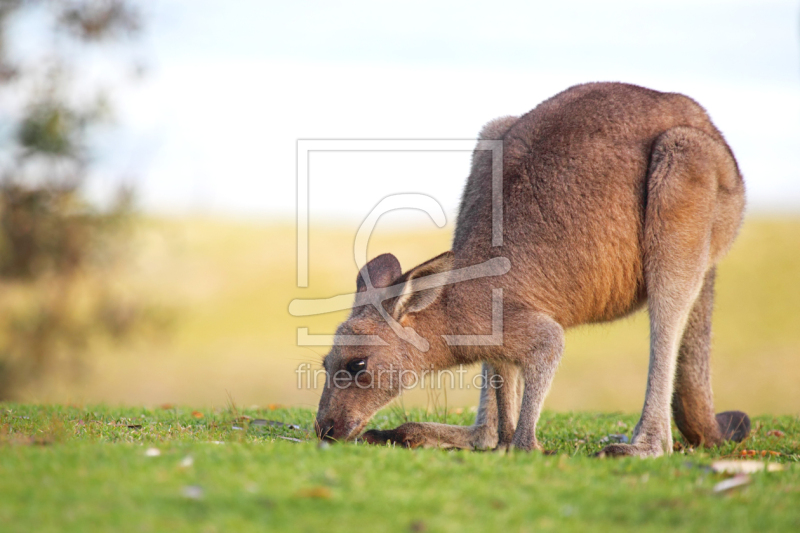 frei wählbarer Bildausschnitt für Ihr Bild auf Papier