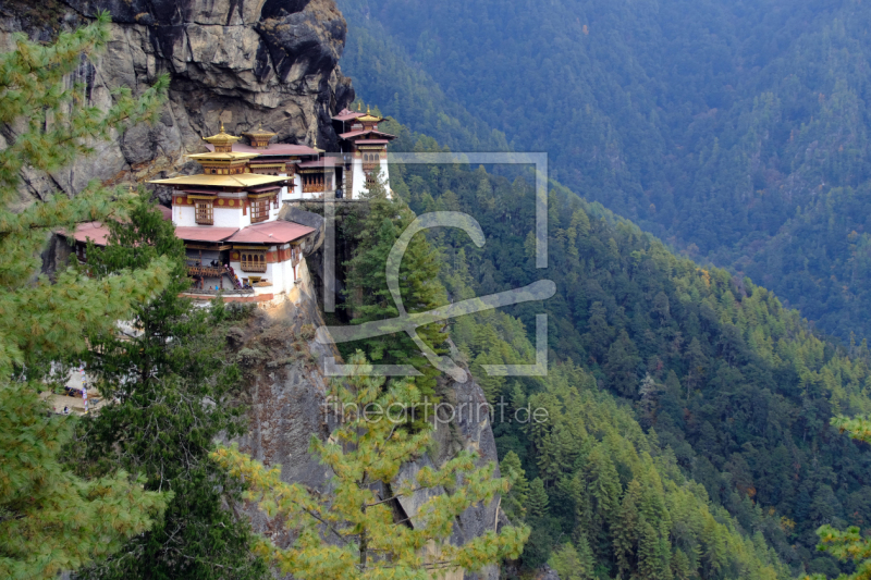 frei wählbarer Bildausschnitt für Ihr Bild auf Papier