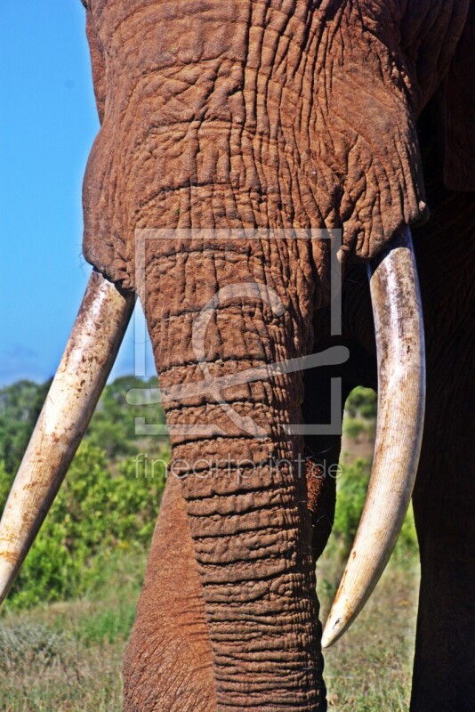 frei wählbarer Bildausschnitt für Ihr Bild auf Papier