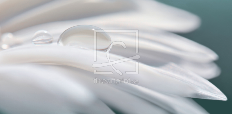 frei wählbarer Bildausschnitt für Ihr Bild auf Papier