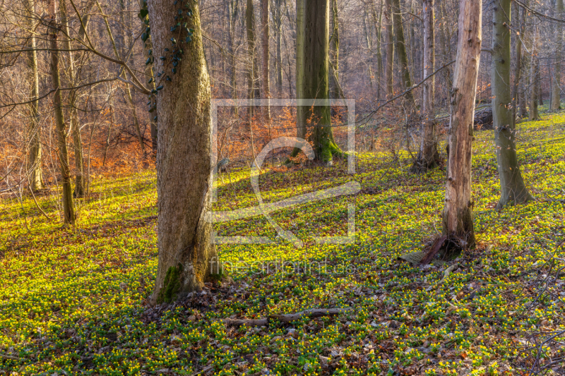 frei wählbarer Bildausschnitt für Ihr Bild auf Papier