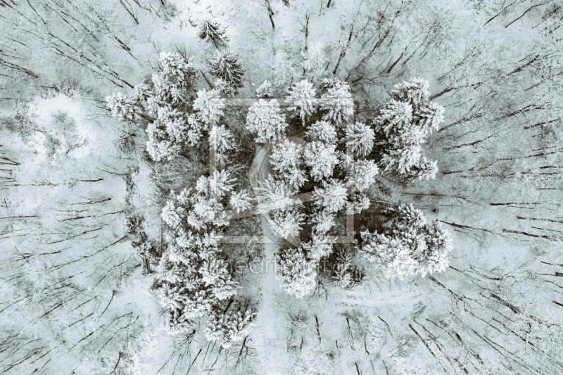 frei wählbarer Bildausschnitt für Ihr Bild auf Papier