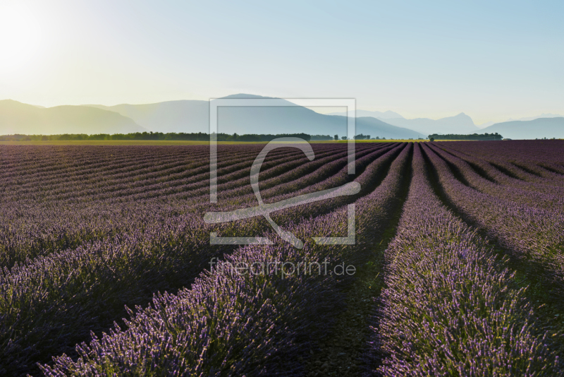 frei wählbarer Bildausschnitt für Ihr Bild auf Papier