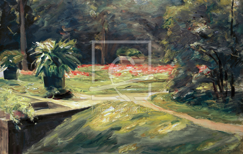 frei wählbarer Bildausschnitt für Ihr Bild auf Papier