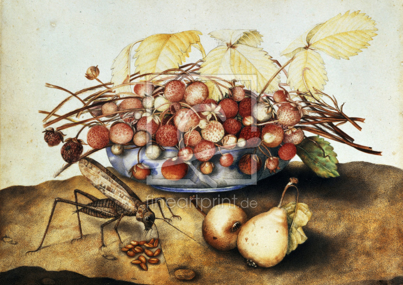 frei wählbarer Bildausschnitt für Ihr Bild auf Papier