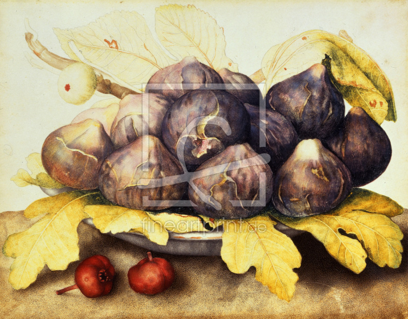 frei wählbarer Bildausschnitt für Ihr Bild auf Papier