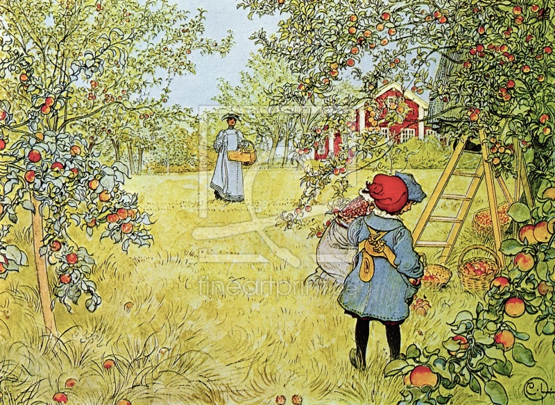 frei wählbarer Bildausschnitt für Ihr Bild auf Papier