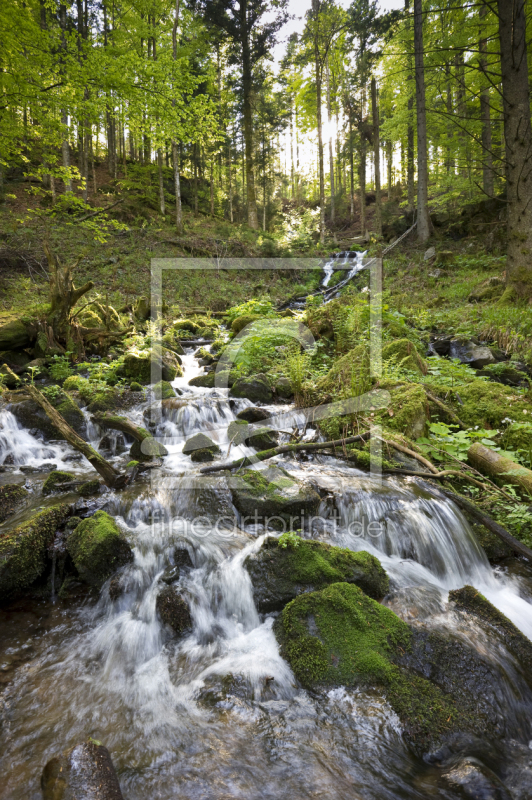 frei wählbarer Bildausschnitt für Ihr Bild auf Papier