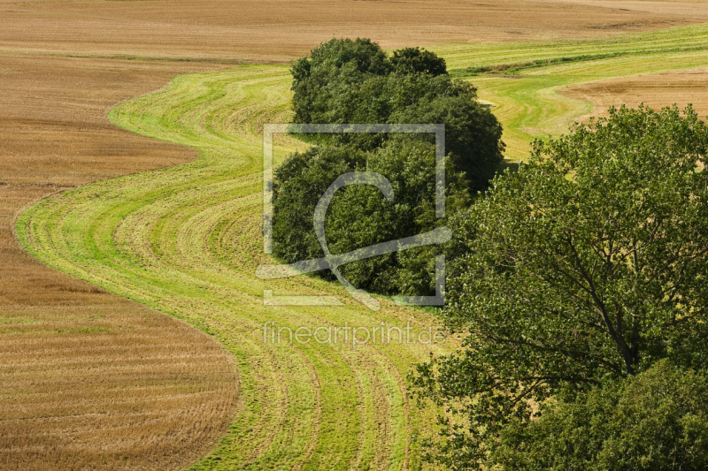 frei wählbarer Bildausschnitt für Ihr Bild auf Papier