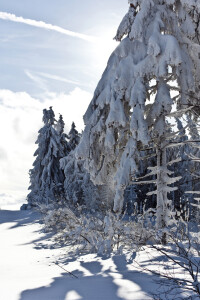 Bild-Nr: 9548778 Winterzeit ... Erstellt von: HeschFoto
