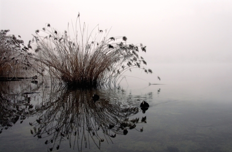 Bild-Nr: 11151846 Mystic Erstellt von: brunosch