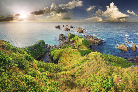 Bild-Nr: 11979285 Nugget Point Neuseeland Erstellt von: Michael  Rucker