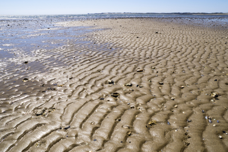 Bild-Nr: 12825503 watt Erstellt von: lukafo