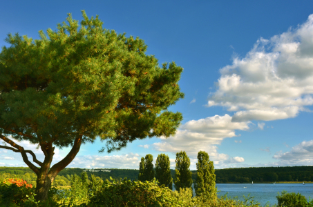 Bild-Nr: 12847158 Sommer an der Havel Erstellt von: Atteloi