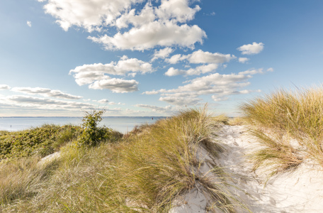 Bild-Nr: 12848711 Ostsee Weißdüne Erstellt von: Ursula Reins