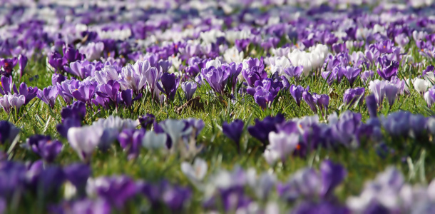 Bild-Nr: 12884096 In Hülle und Fülle Erstellt von: youhaveadream