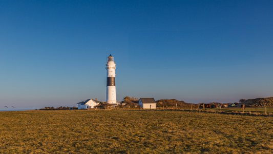 Bild-Nr: 12894324 Der schwarz weiße Leuchtturm von Sylt Erstellt von: Ursula Reins
