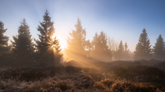 Bild-Nr: 12918602 Nebelspiele im Harz  Erstellt von: Steffen Henze