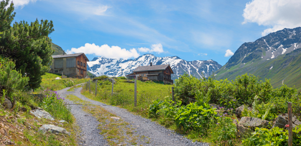 Bild-Nr: 12937993 Idyllischer Wanderweg im Dischmatal Erstellt von: SusaZoom