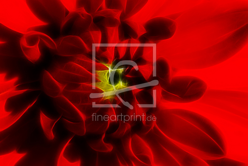 frei wählbarer Bildausschnitt für Ihr Bild auf Poster