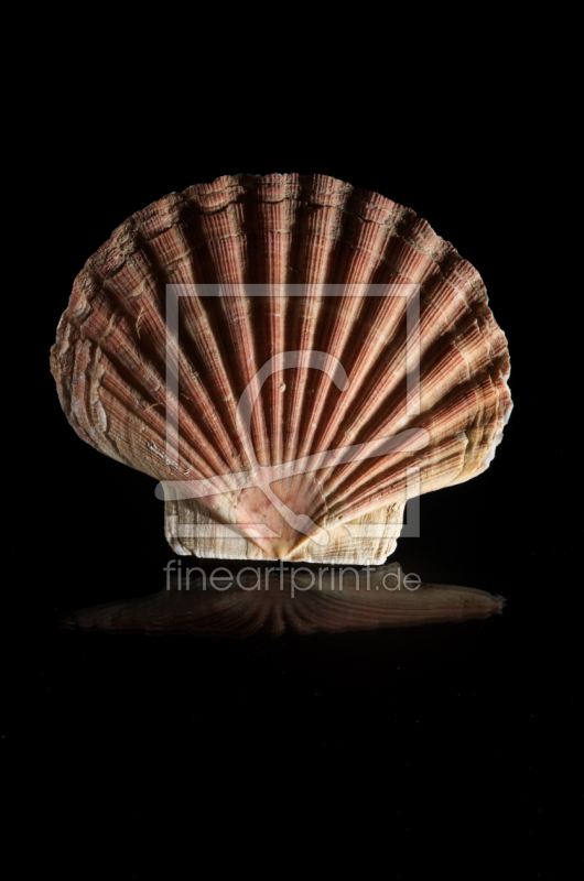 frei wählbarer Bildausschnitt für Ihr Bild auf Poster