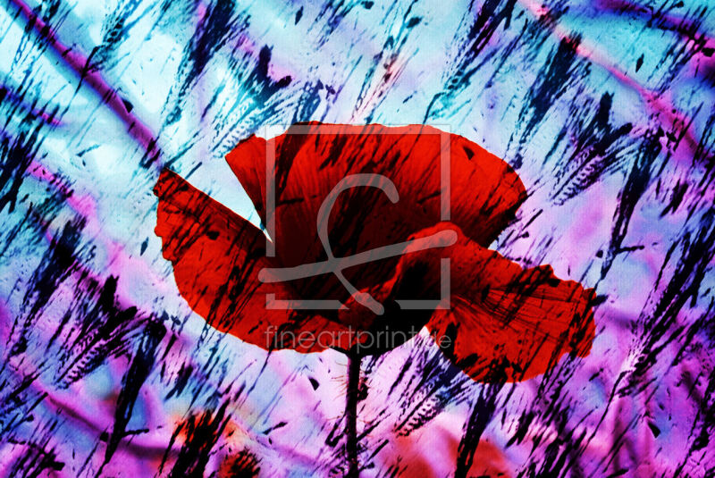 frei wählbarer Bildausschnitt für Ihr Bild auf Poster