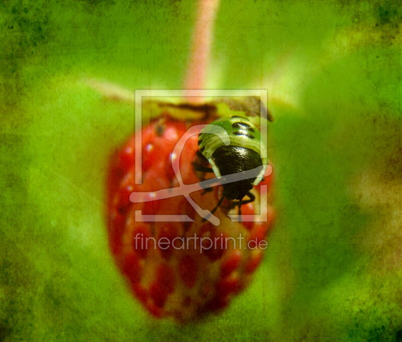frei wählbarer Bildausschnitt für Ihr Bild auf Poster