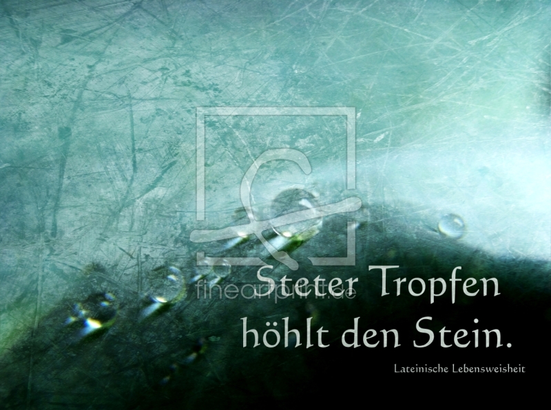 frei wählbarer Bildausschnitt für Ihr Bild auf Poster