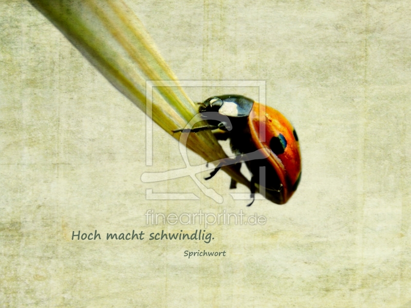 frei wählbarer Bildausschnitt für Ihr Bild auf Poster