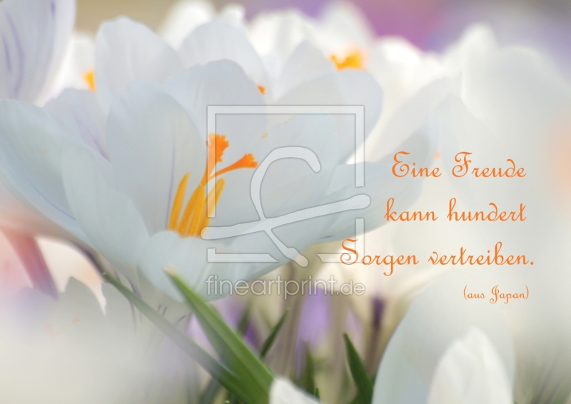 frei wählbarer Bildausschnitt für Ihr Bild auf Poster