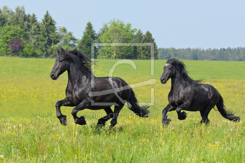 frei wählbarer Bildausschnitt für Ihr Bild auf Poster