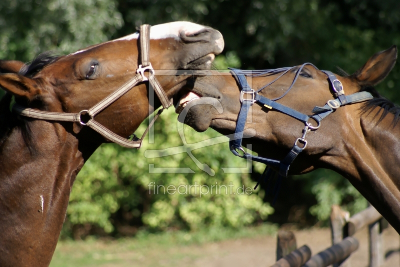 frei w&auml;hlbarer Bildausschnitt f&uuml;r Ihr Bild auf Poster