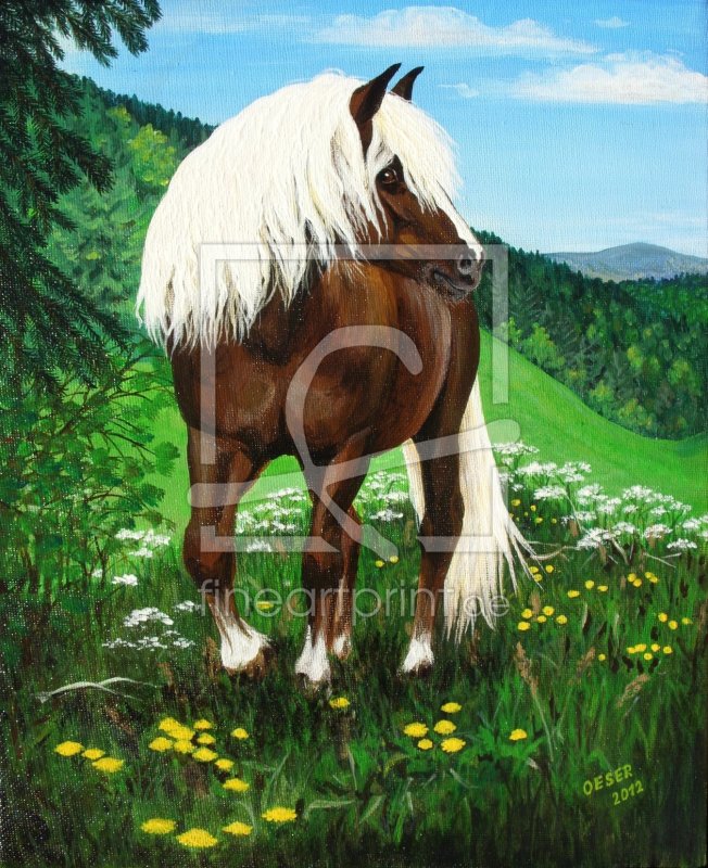 frei wählbarer Bildausschnitt für Ihr Bild auf Poster