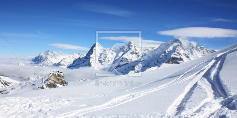 frei wählbarer Bildausschnitt für Ihr Bild auf Poster