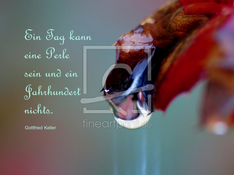 frei wählbarer Bildausschnitt für Ihr Bild auf Poster