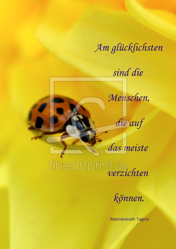 frei wählbarer Bildausschnitt für Ihr Bild auf Poster