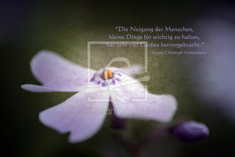 frei wählbarer Bildausschnitt für Ihr Bild auf Poster