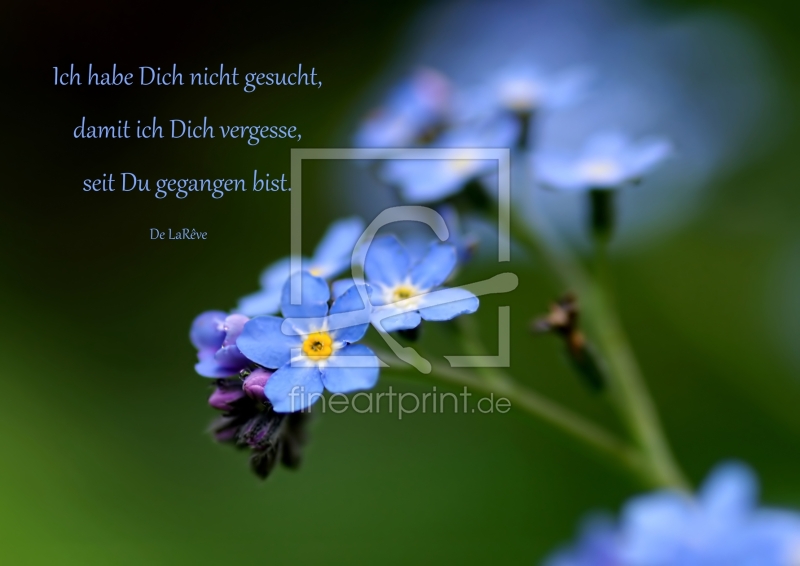 frei wählbarer Bildausschnitt für Ihr Bild auf Poster