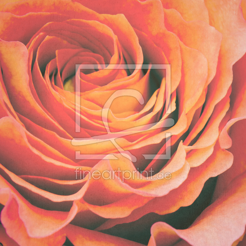 frei w&auml;hlbarer Bildausschnitt f&uuml;r Ihr Bild auf Poster